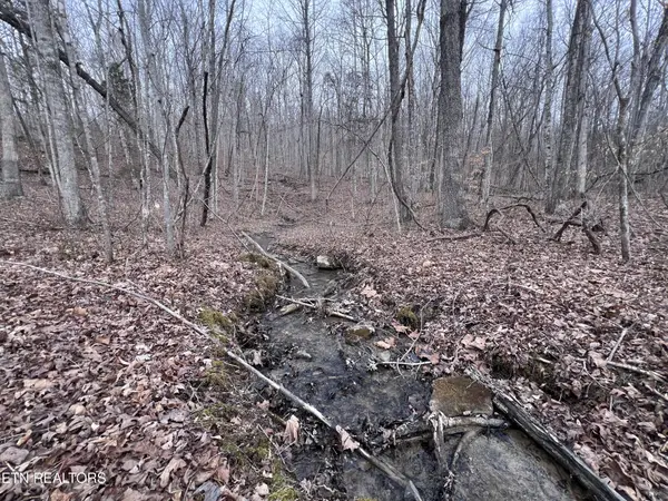 0 Buffalo Cove Lane, Jamestown, TN 38556