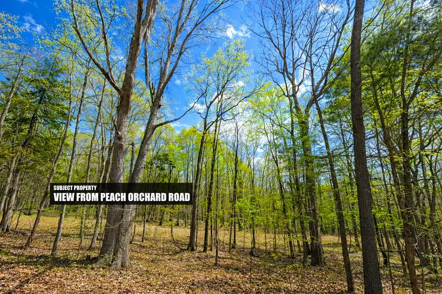 0 Peach Orchard Rd, Lewisburg, KY 42256 - #3