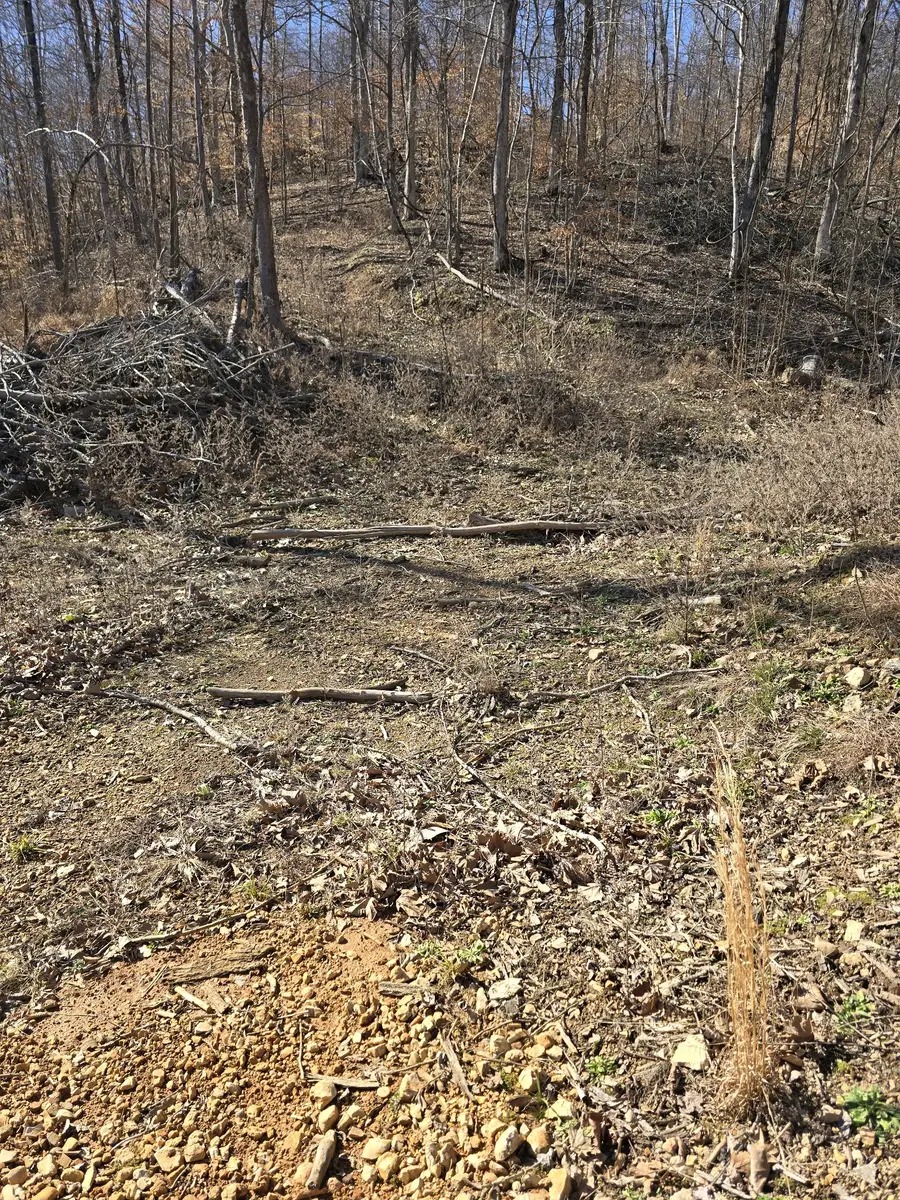 0 Honey Fork Road, Indian Mound, TN 37079 - #2