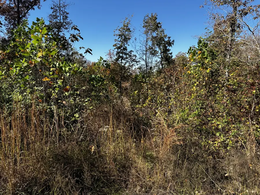 0 Ridge Top Rd, Stewart, TN 37175 - #2