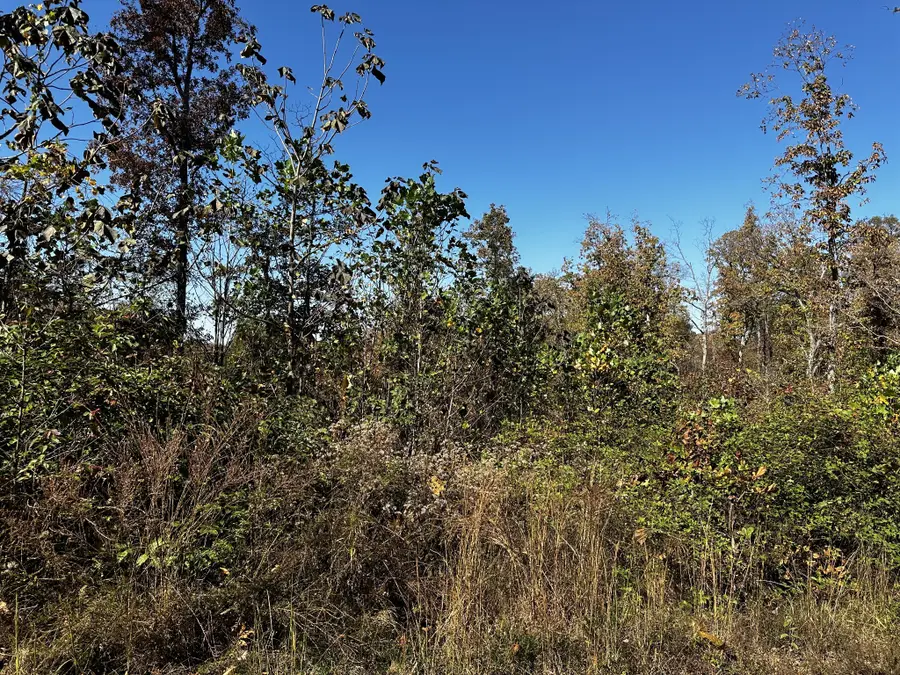 0 Ridge Top Rd, Stewart, TN 37175 - #3