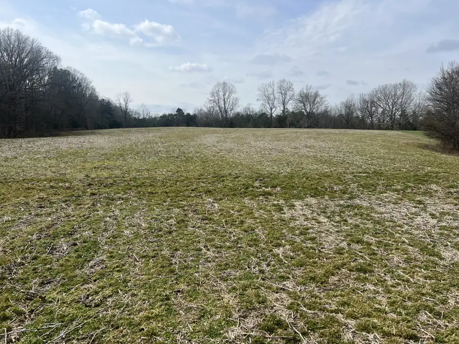 3460 New Home Rd, Smithville, TN 37166 - #2