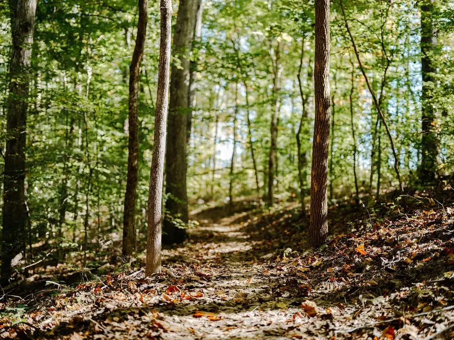 0 Pinewood Road, Franklin, TN 37064 - #3