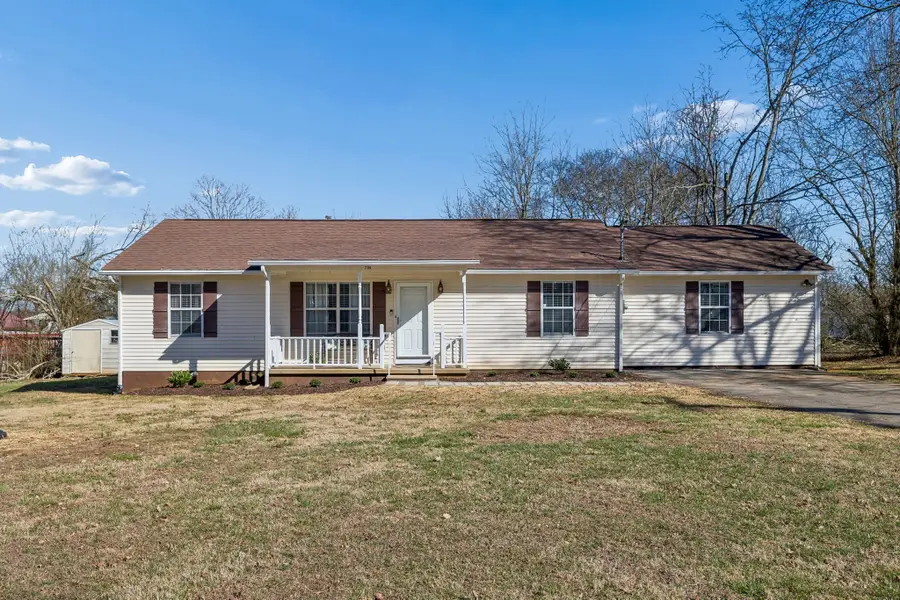 206 Central Ave, Chapel Hill, TN 37034 - #3