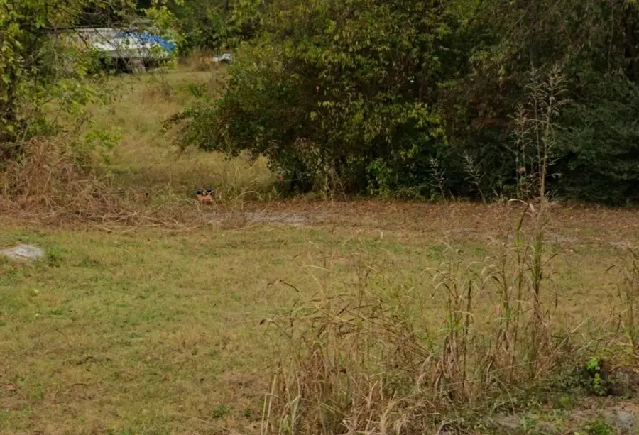 3050 Asbury Rd, Murfreesboro, TN 37129 - #3