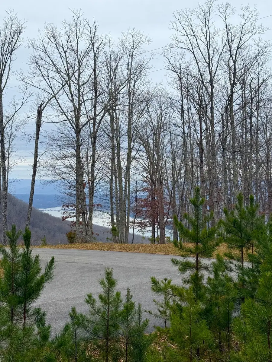 0 Wohalie Lane, South Pittsburg, TN 37380 - #2