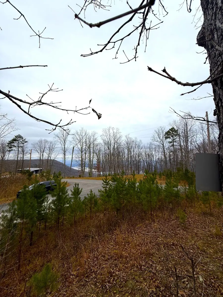 0 Wohalie Lane, South Pittsburg, TN 37380 - #3