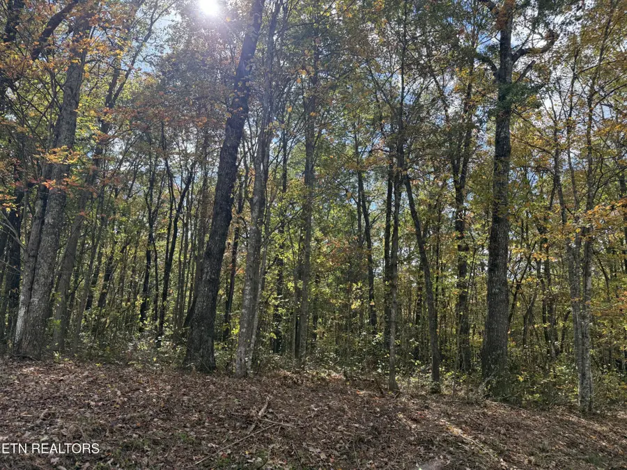 0 Picket Park Hwy Hwy, Jamestown, TN 38556 - #2