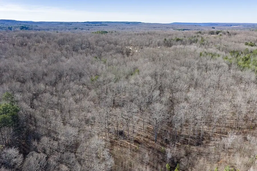 0 Old Altamont Rd, Tracy City, TN 37387 - #2