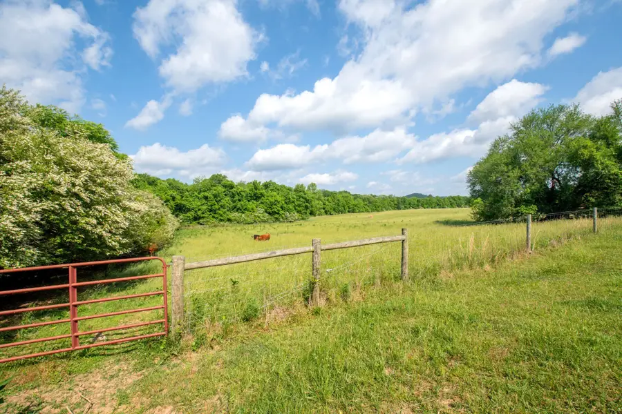 0 Culleoka Hwy, Culleoka, TN 38451 - #3