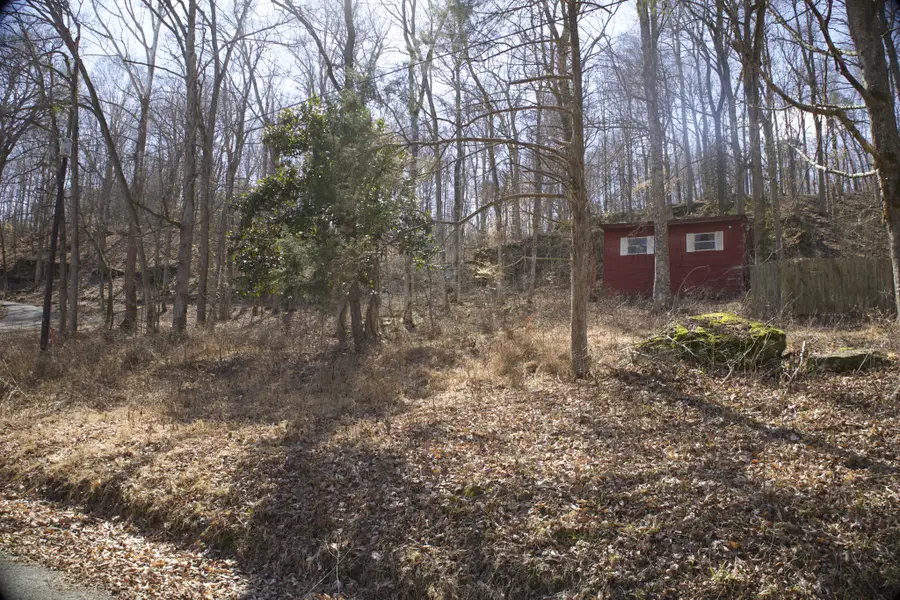 0 Clifty Creek Rd, Lewisburg, KY 42256 - #3