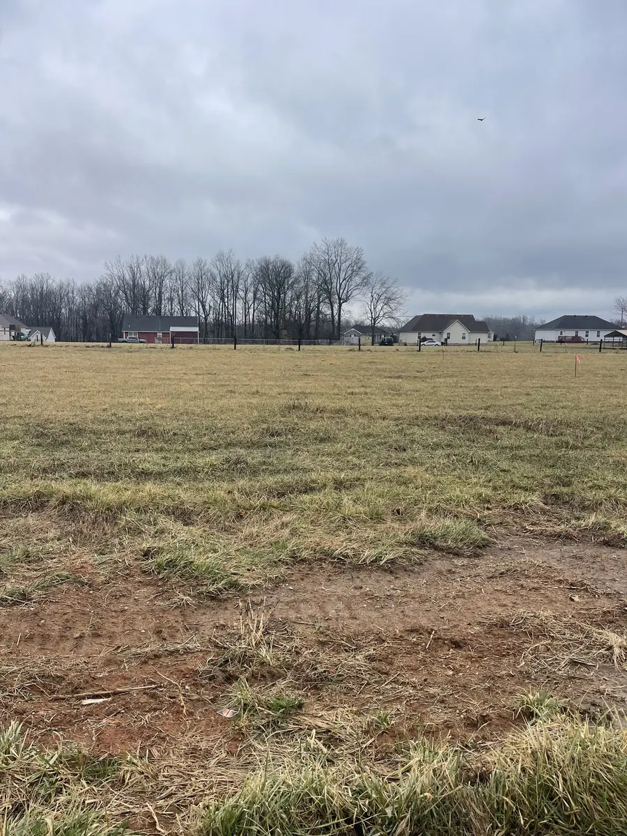 2 Mcnabb Lane, Lafayette, TN 37083 - #2