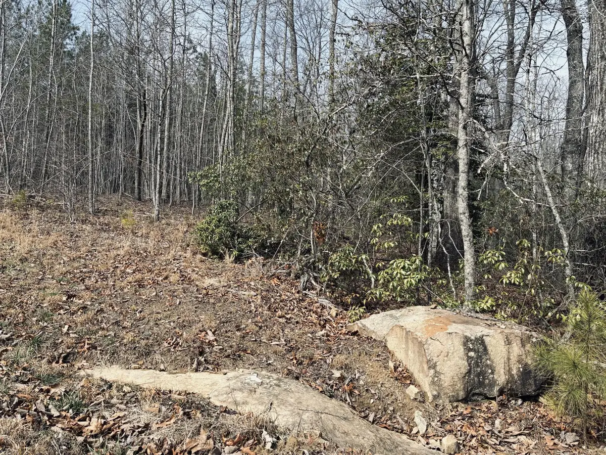 0 Raulston Falls Rd, Jasper, TN 37347 - #1