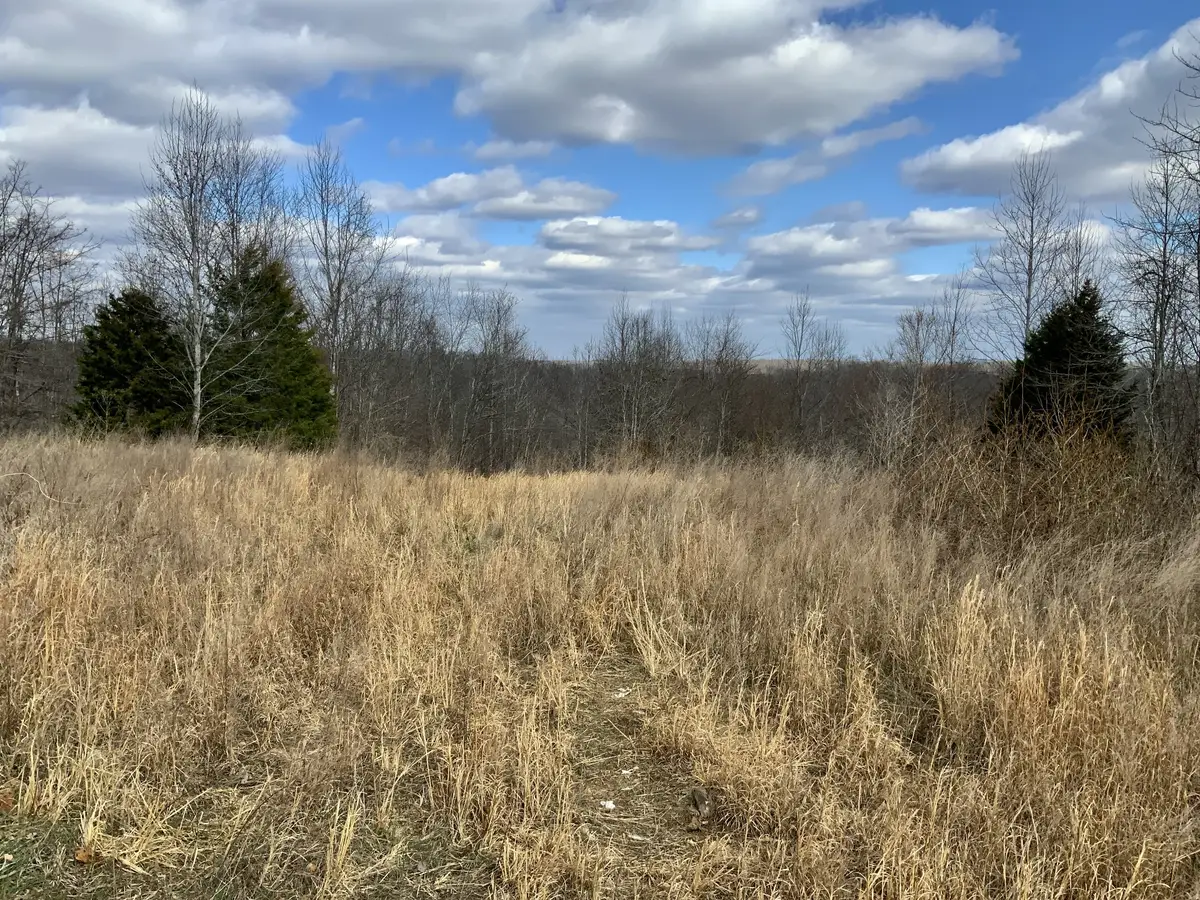 0 Topside Drive, Dover, TN 37058 - #1