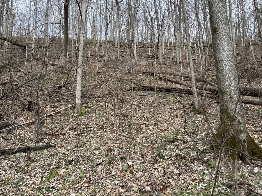 0 Lake View Drive, Smithville, TN 37166 - #3