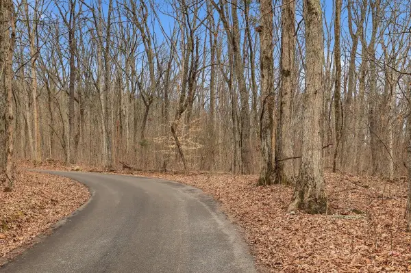 1419 Collier Loop, Dandridge, TN 37725