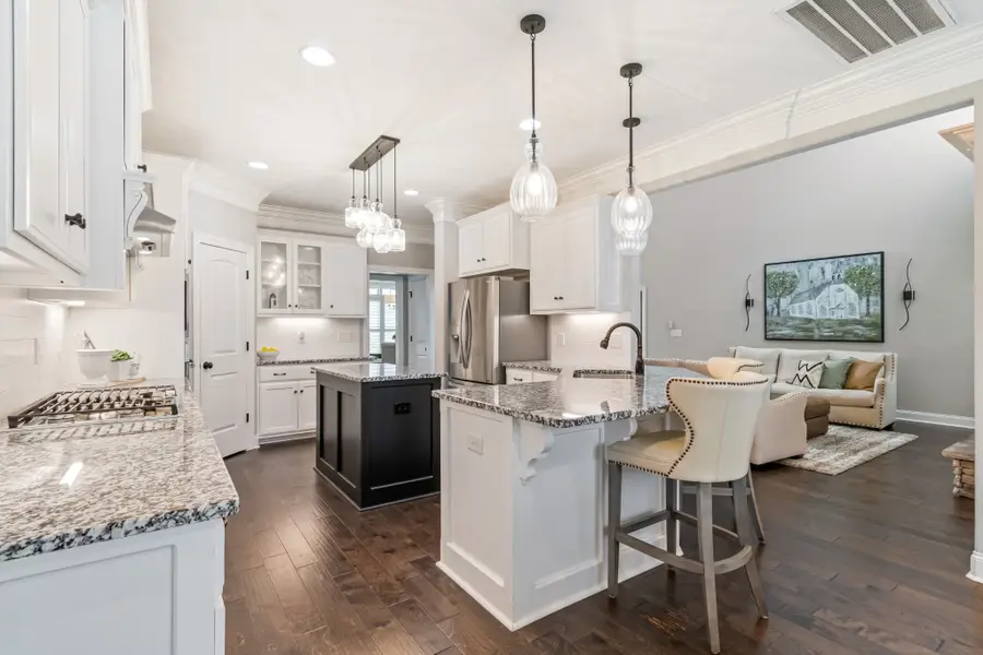 6008 Turncreek Rd, Thompsons Station, TN 37179 - #2