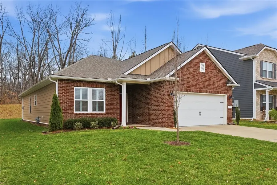 293 Brook Ave, White House, TN 37188 - #2