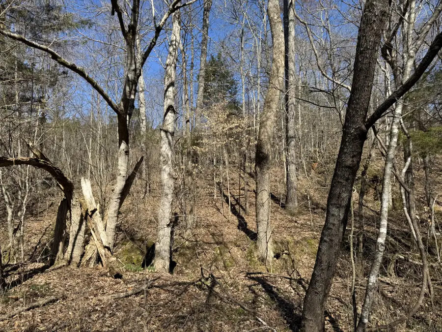 0 Corlew Road, Charlotte, TN 37036 - #3