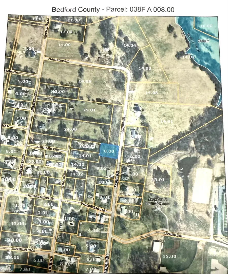 317 Maple St, Bell Buckle, TN 37020 - #2