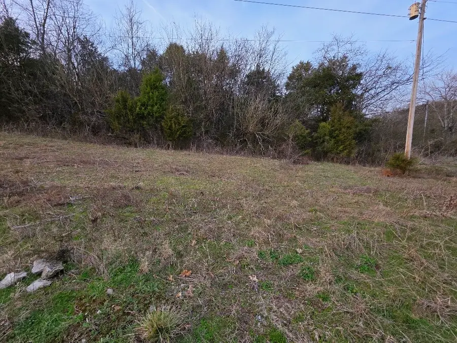 0 Woodmore Hollow Ln, Hartsville, TN 37074 - #3
