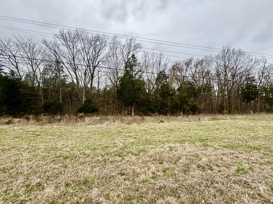 7030 Shelbyville Pike, Christiana, TN 37037 - #3