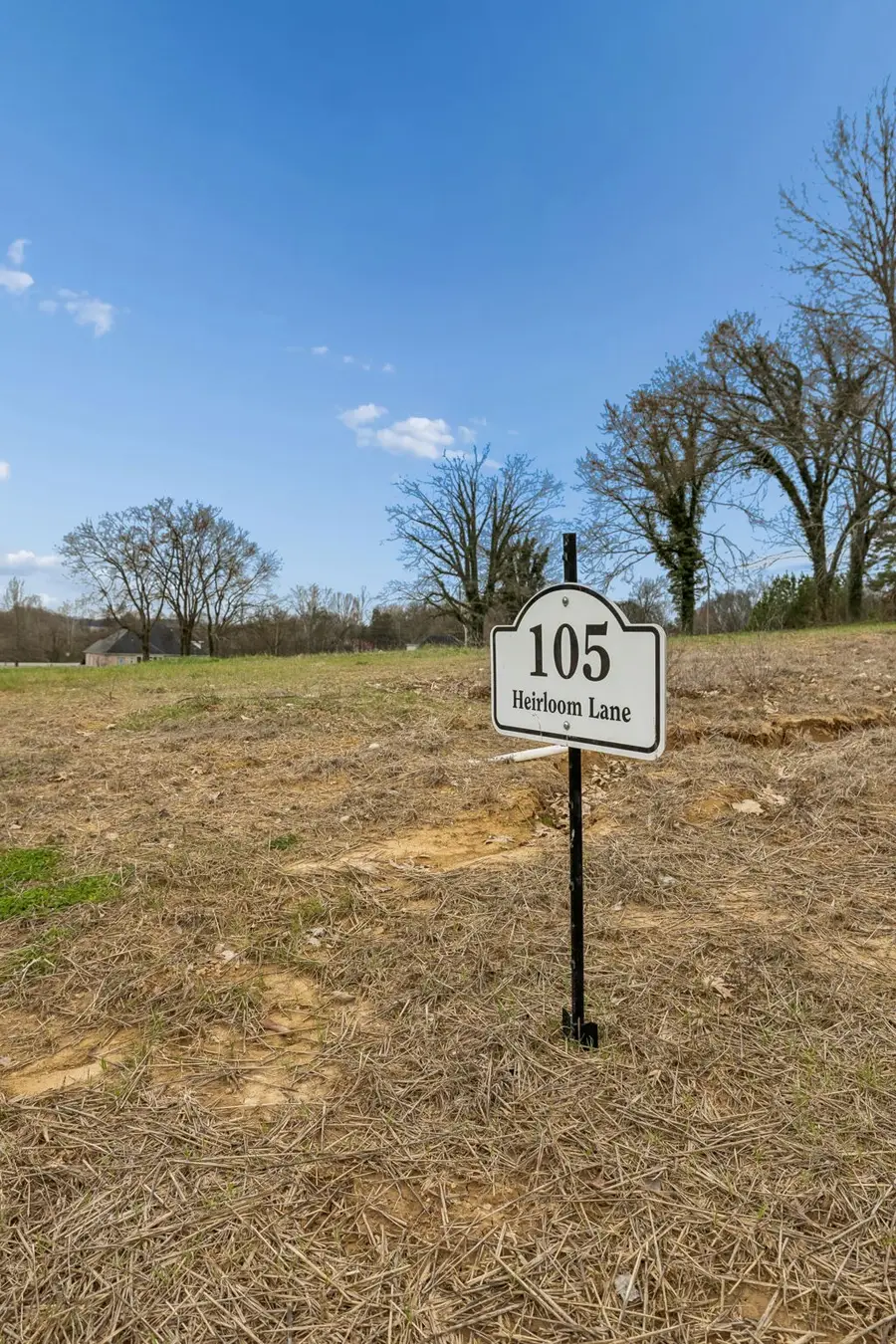 105 Heirloom Ln, Columbia, TN 38401 - #2