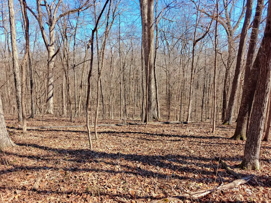 0 Sykes Branch Rd, Eva, TN 38333 - #3