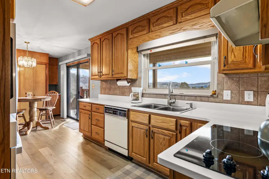 1423 Emily Drive, Sevierville, TN 37876 - #3