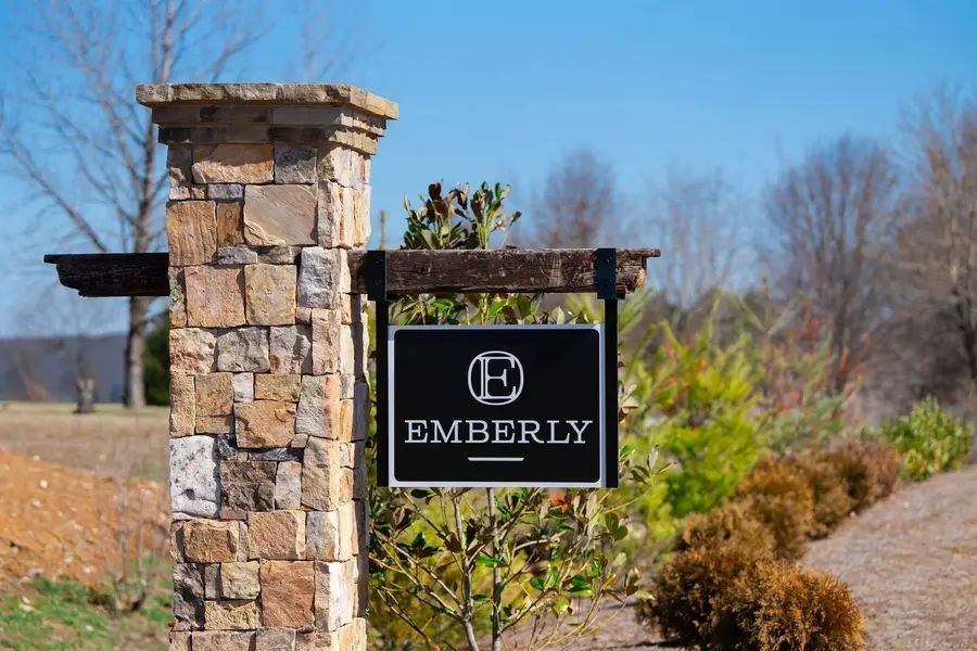 317 Buckwood Ln, Thompsons Station, TN 37179 - #3