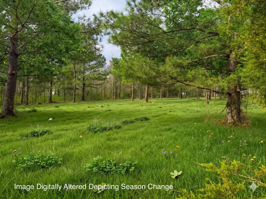 2404 Summer Oaks Cir, Summertown, TN 38483 - #2