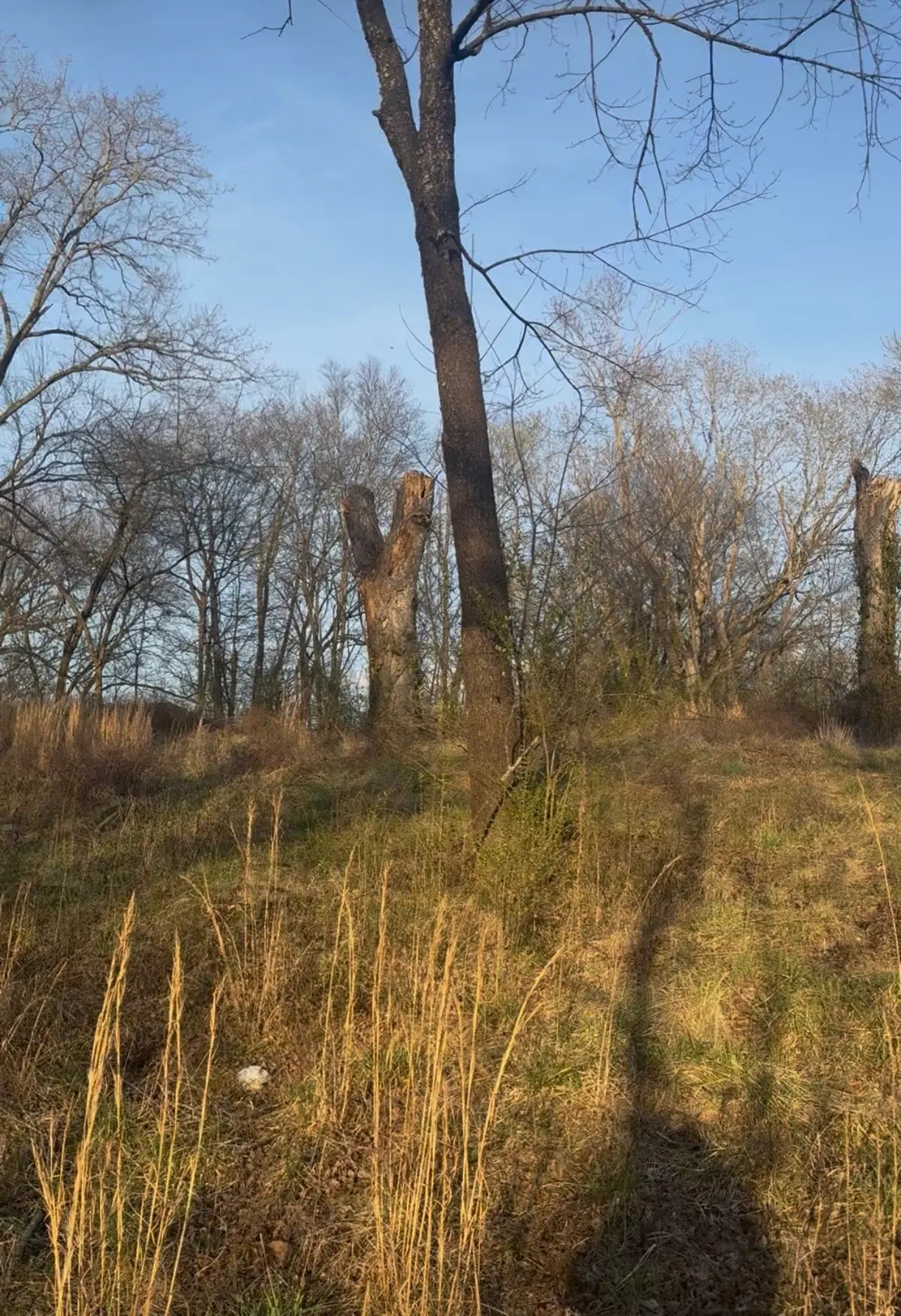 1 Kirby St, McMinnville, TN 37110 - #1