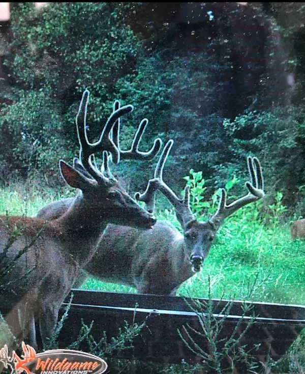 510 Rogues Fork Rd, Bethpage, TN 37022