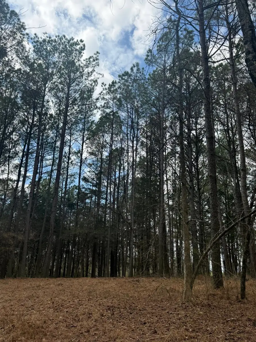 5583 Pedigap Rd, Morrison, TN 37357 - #3