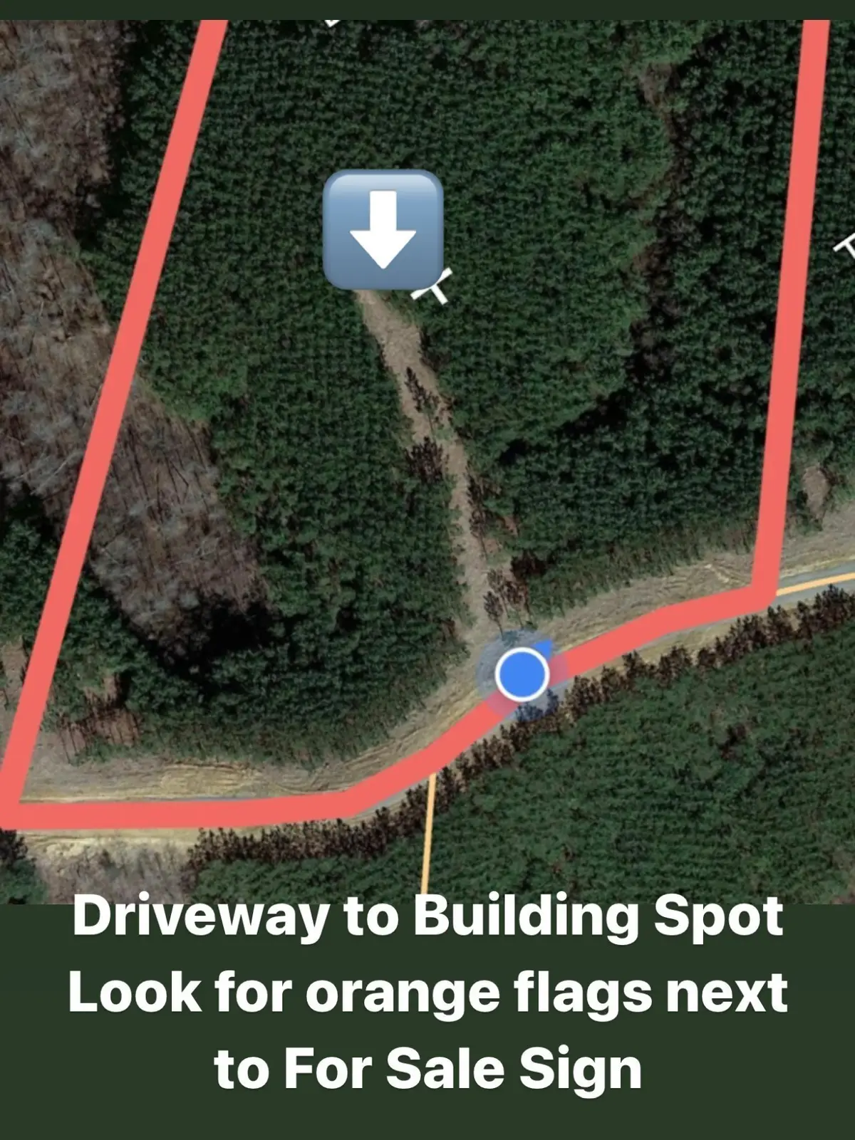 210 Ridgewood Dr, Linden, TN 37096 - #1