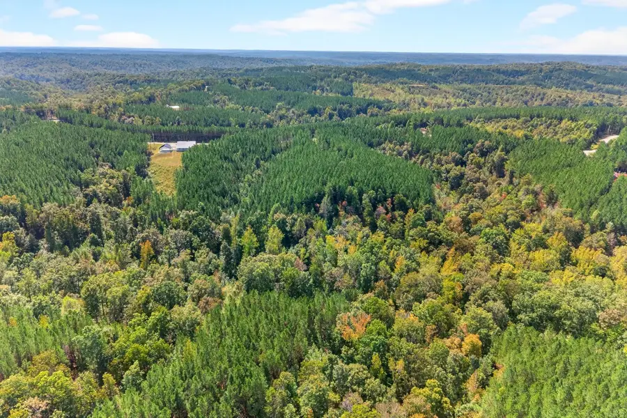 210 Ridgewood Dr, Linden, TN 37096 - #3