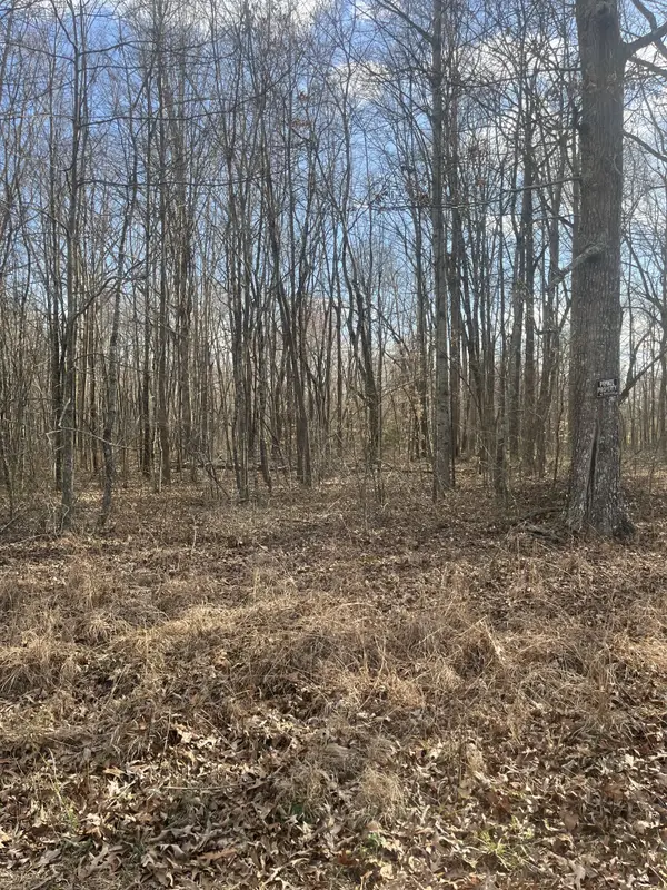 0 Boynton Valley Rd, Manchester, TN 37355