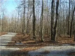 0 Boulder Lake Rd, Coalmont, TN 37313 - #3