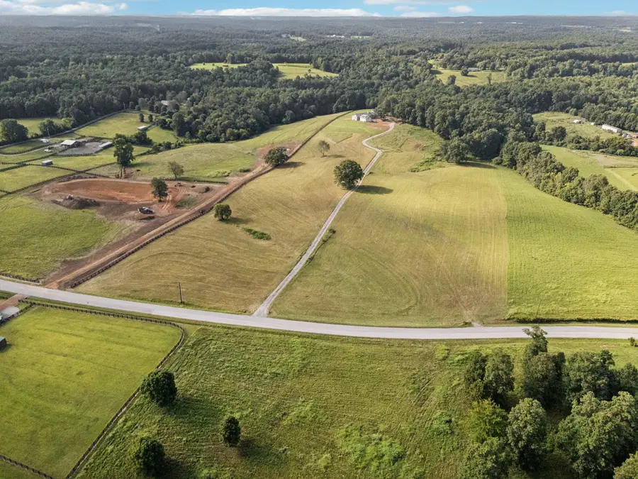 0 Lick Creek Road W, Primm Springs, TN 38476 - #3