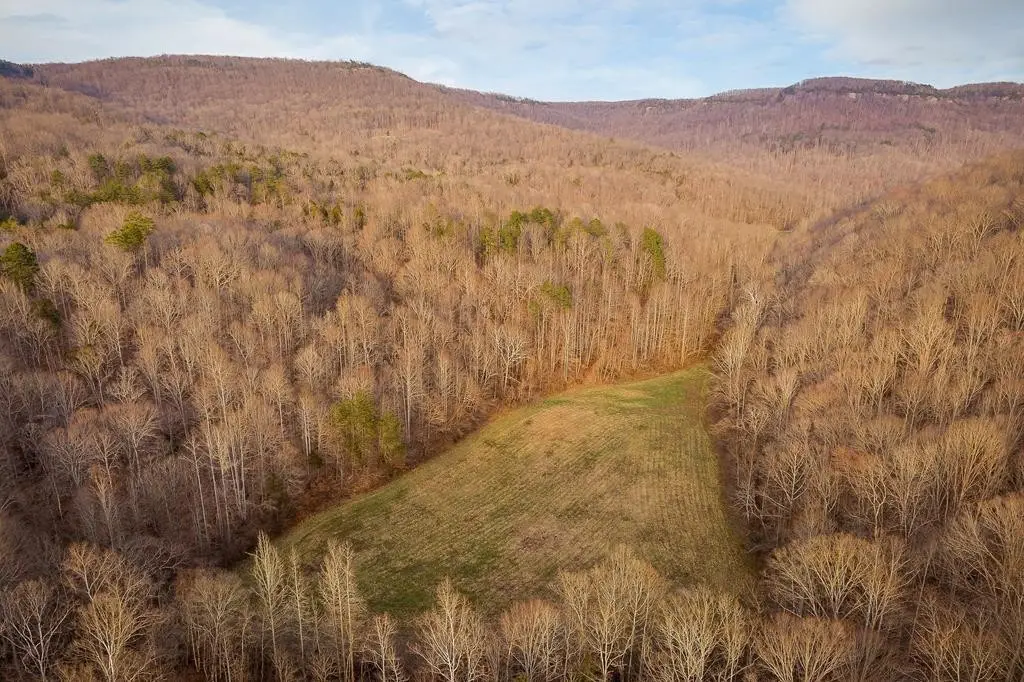 0 Glenobey Rd, Jamestown, TN 38556 - #1