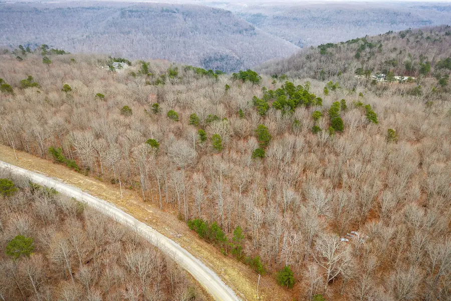 0 Parkstown Rd, Wilder, TN 38589 - #2