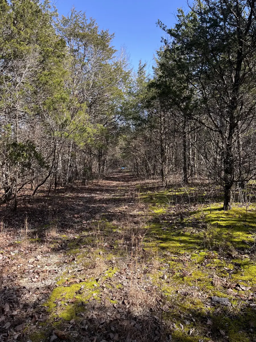 0 E Pitts Ln, Murfreesboro, TN 37130 - #3