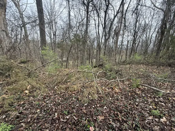 1915 Appomattox Dr, Lebanon, TN 37087