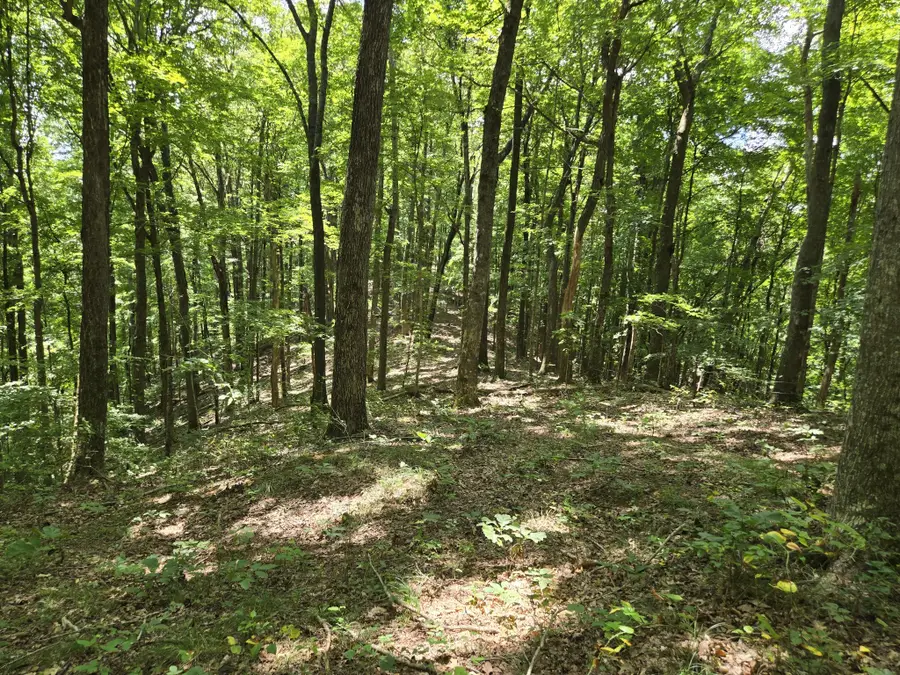 16 Seals Hollow Rd, Woodbury, TN 37190 - #3