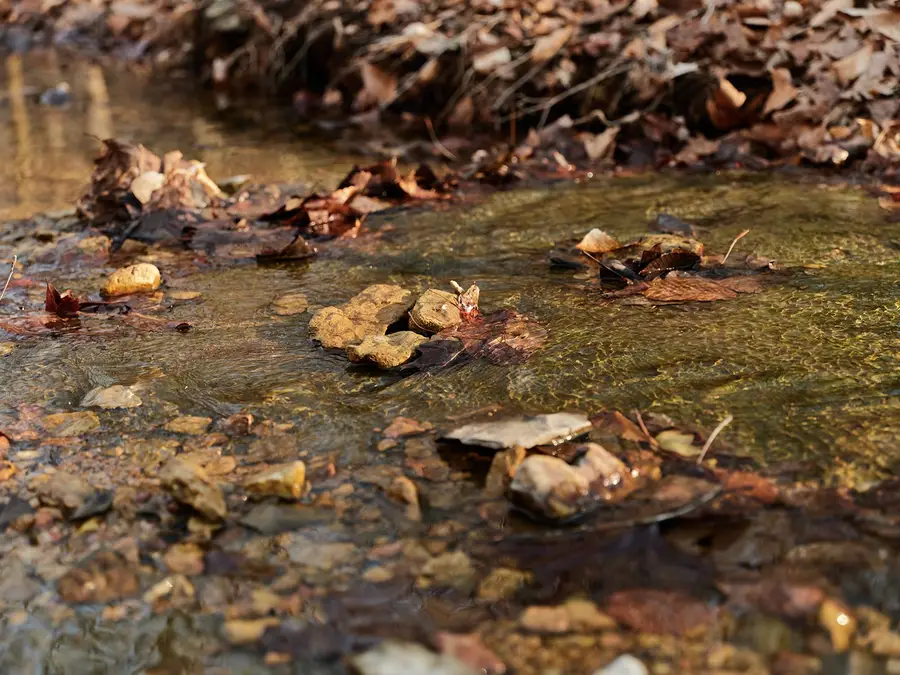 0 Chinkapin Ln, Franklin, TN 37064 - #3