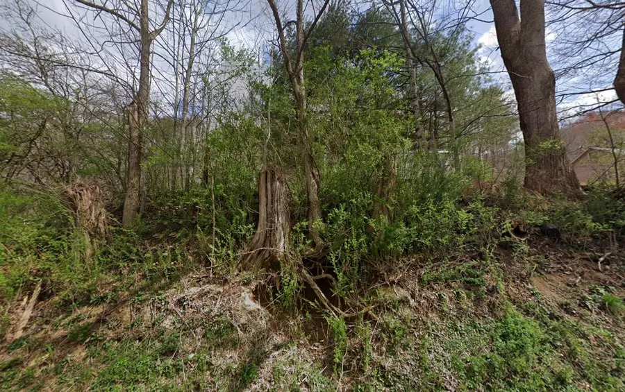 231 Hogum Hollow Rd, Roan Mountain, TN 37687 - #2