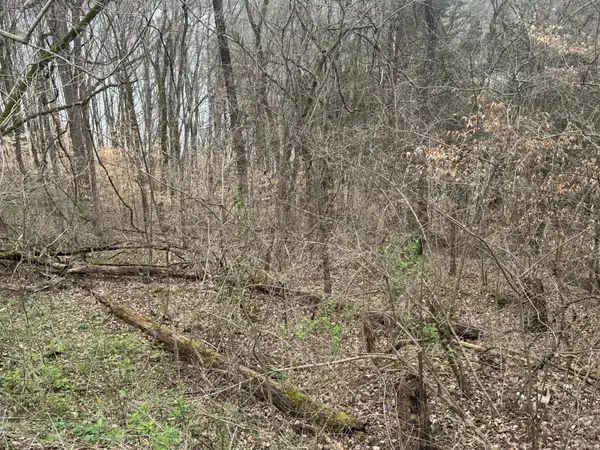 0 Lakeside Dr, Smithville, TN 37166