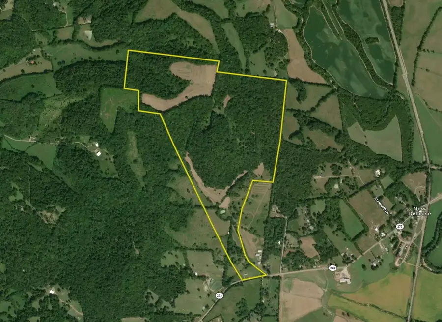 1565 Old Elkton Pike, Dellrose, TN 38453 - #2