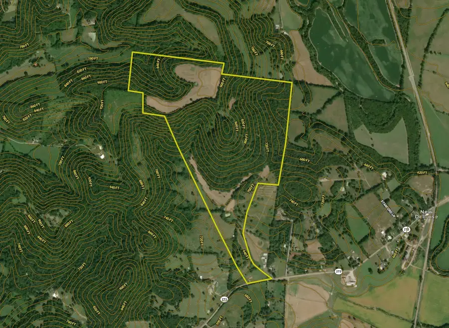 1565 Old Elkton Pike, Dellrose, TN 38453 - #3