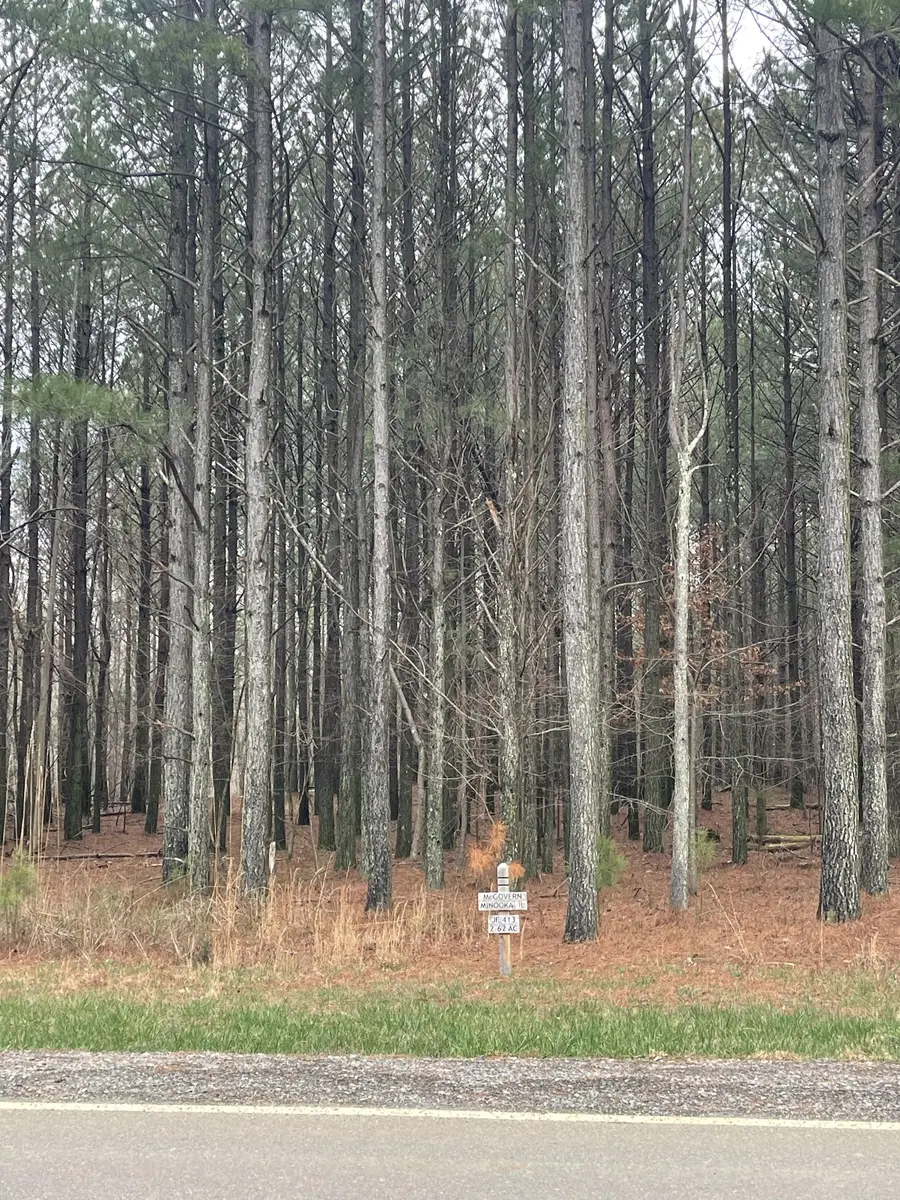 0 Crockett Pointe, Jasper, TN 37347 - #2